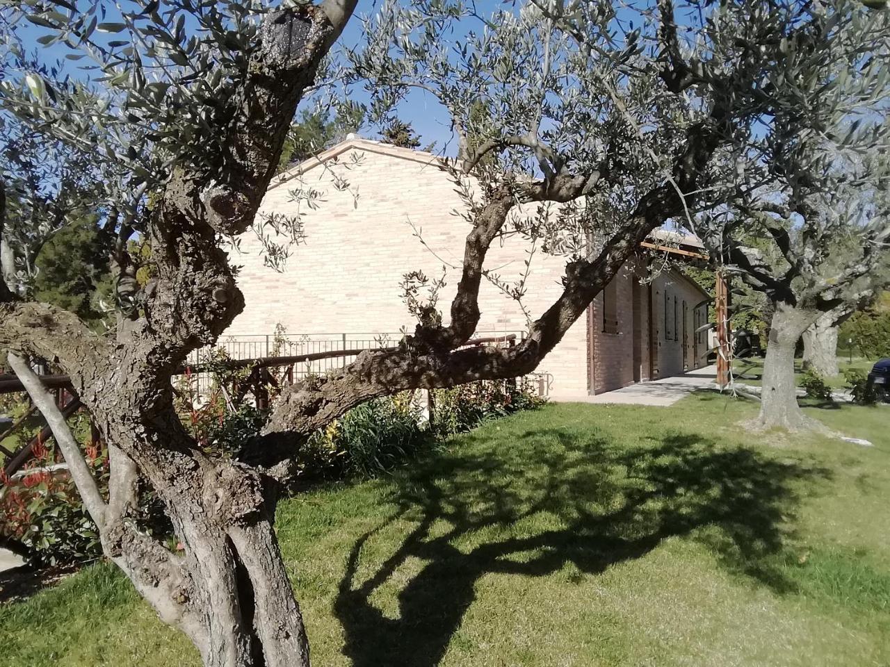 Treia Il Roccolo Di Valcerasa 아파트 외부 사진