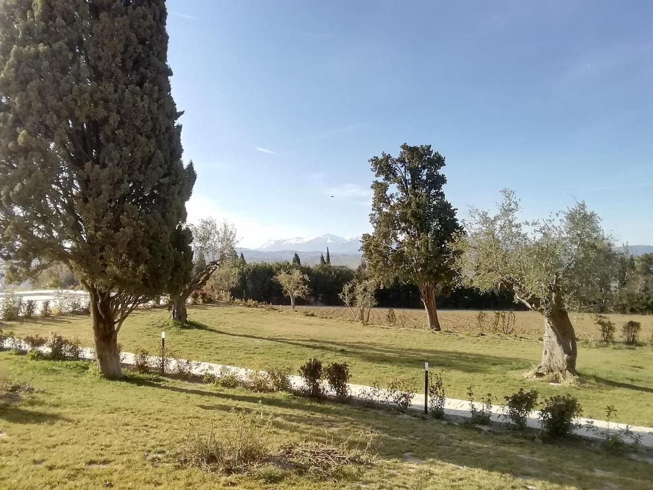 Treia Il Roccolo Di Valcerasa 아파트 외부 사진
